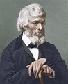 Thomas Carlyle, Scottish Author Photograph by Sheila Terry - Fine Art ...