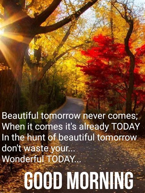 Incredible Compilation Of Over Good Morning Images With Nature Quotes Astonishing