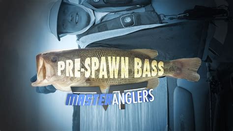 How To Catch Pre Spawn Largemouth Bass On Southern Lake Champlain