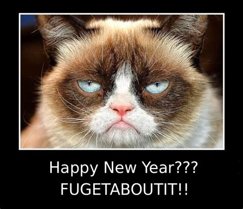 Free Download Grumpy Cat New Years Eve Motivational Quotes