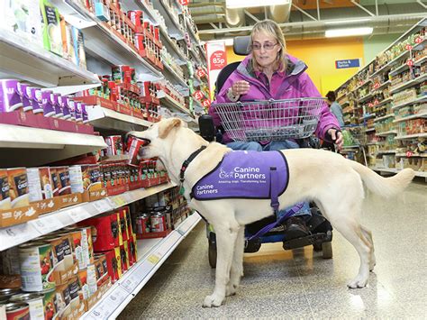 The Equality Act And Assistanceguide Dogs Canine Partners