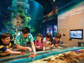 Sea Aquarium With 1 Way Transfer Attractions And Passes