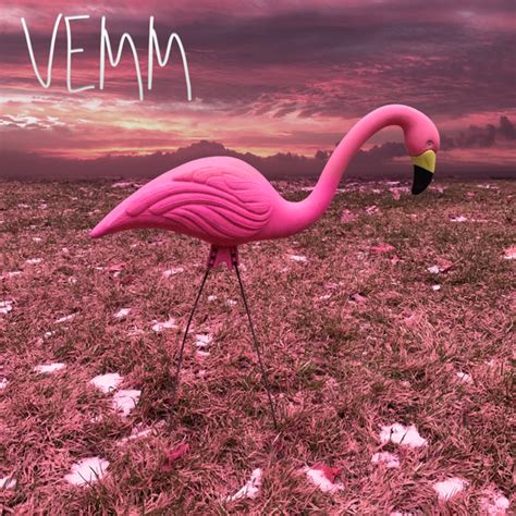 Vemm Flamingo Ep Lyrics And Tracklist Genius