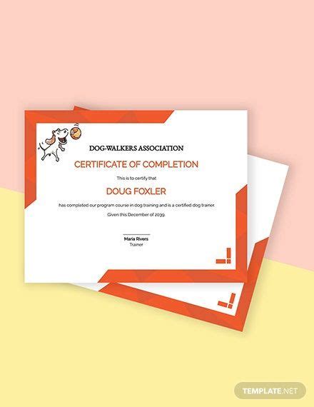 Instantly Download Training Certificate Templates Samples And Examples