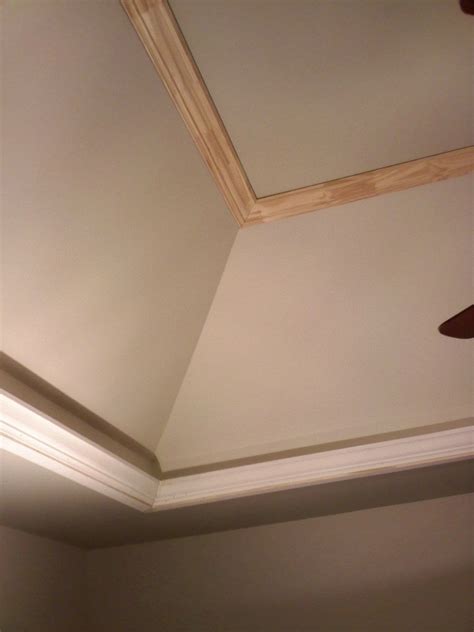 Painting Tray Ceilings Examples