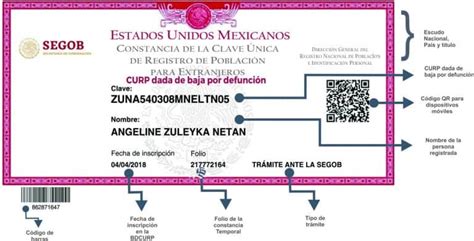 Curp Gratis En México Buscar Nuevo Formato 2022 En Línea