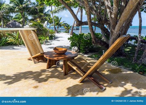 Beach Lounge Chairs Tropical Resort Leisure Tourism Concept Stock