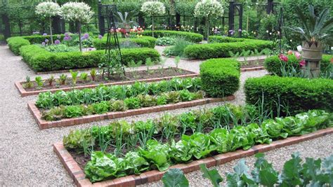Use these free garden plans and designs to turn your yard into a beautiful place to play, relax, and entertain. Vegetable Garden Layout and Ways To Improve - My Garden Plant
