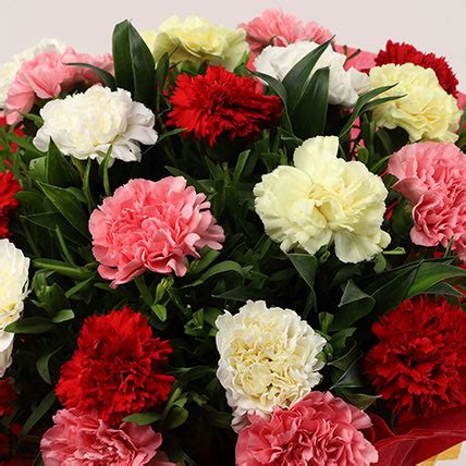 Online Mixed Carnations Bouquet Large Gift Delivery In Singapore Fnp