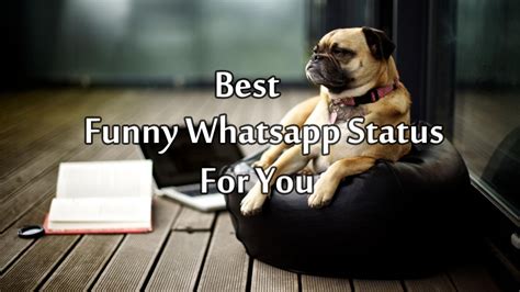127 Funny Whatsapp Status Messages For Whatsapp And Facebook