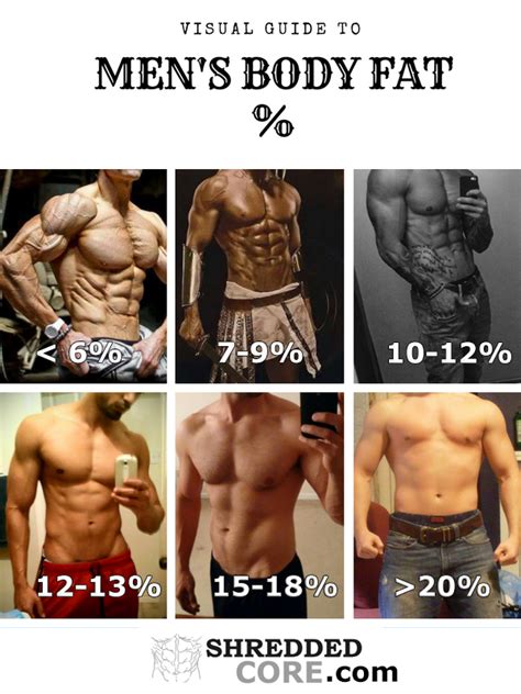 Male Body Fat Percentage Comparison Visual Guide Vrogue Co
