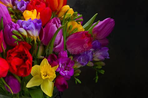 Bouquet Of Spring Flowers Close Up Stock Image Image Of Nature Green