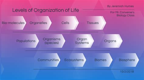 Levels Of Organization Of Life By Cool Guy