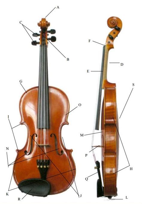 Violin Bow Anatomy