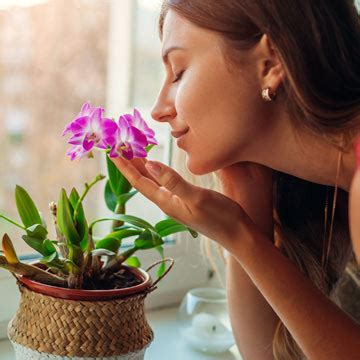 Cómo te ayudan las flores y plantas a combatir el estrés y la ansiedad