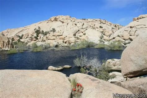 Barker Dam Trail Joshua Tree