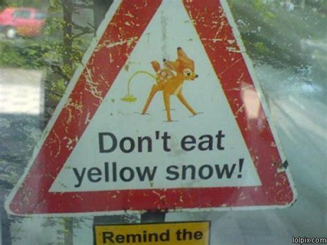 Funny Snow Signs Snow Signs Funny Road Signs Funny Signs