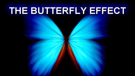 The Butterfly Effect How To Manifest Big Rewards By Making Small