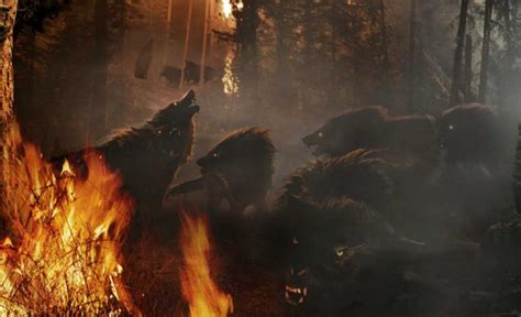 Image Wargs The Hobbit The One Wiki To Rule Them All Fandom