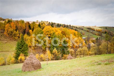 Rural Fall Landscape Stock Photos