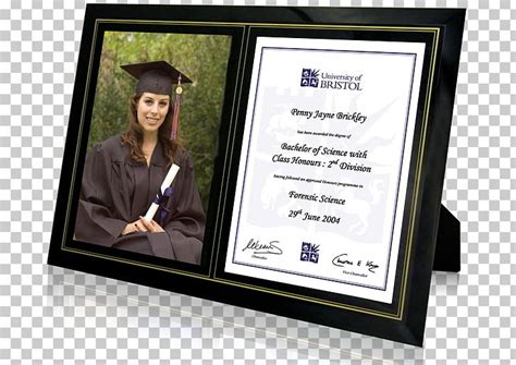 Frames Diploma Graduation Ceremony Academic Certificate Png Clipart