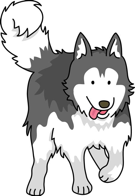 White Husky Png Images Png All Png All