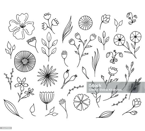 Hand Drawn Floral Elements Isolated Doodle Flowers Stock Illustration