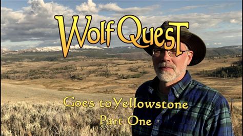 Wolfquest Goes To Yellowstone Part One Youtube