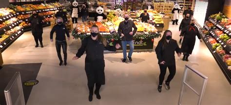 Best Of Jerusalema Total Irre Supermarkt Teams Tanzen Auf Der Fläche