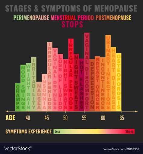 Stages Of Menopause Infographic Royalty Free Vector Image