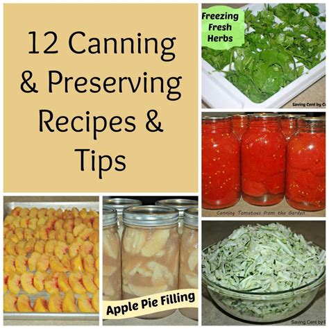 12 Canning And Preserving Recipes And Tips Canning Recipes Food Hacks