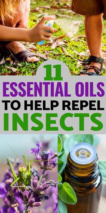 11 Essential Oils That Repel Bugs Insects And Pests Naturally