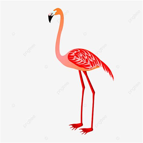 Flamingo Female Dancers Flamingo Clipart Dance Flamingo