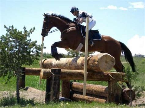 The Colorado Horse Park Expands Eventing Season