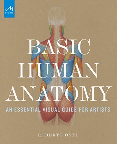 Amazon Basic Human Anatomy An Essential Visual Guide For Artists