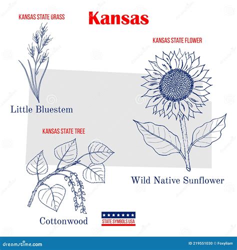 Kansas Set Of Usa Official State Symbols Stock Vector Illustration