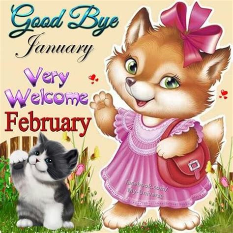 Pin By Brenda Guffey On Funny Things Welcome February Teddy Bear Teddy