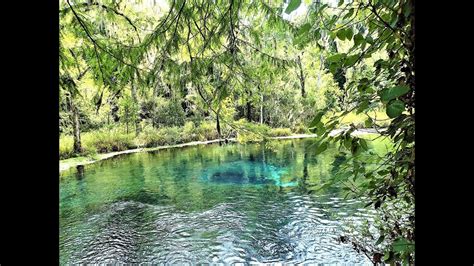 Blue Hole A Beautiful Natural Florida Spring At Ichetucknee State Park