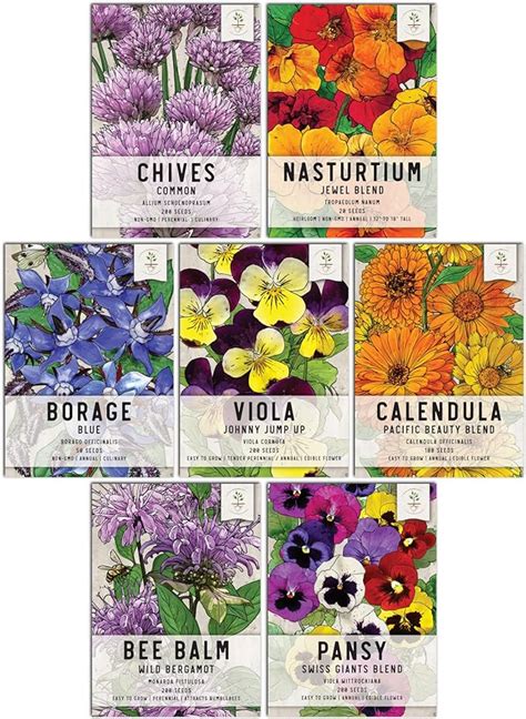 Seed Needs Edible Wildflower Seed Packet Collection 7