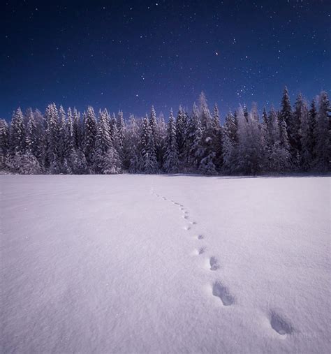 Photographer Captures The Finnish Night Sky Awesome Picz