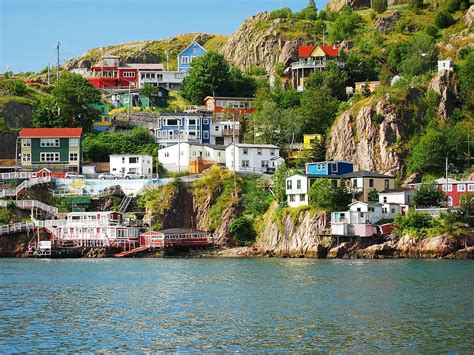 Why Newfoundland Needs To Be Your Next Culinary Travel Destination