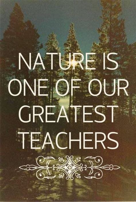 Nature Nature Quotes Mother Nature Quotes Inspirational Quotes