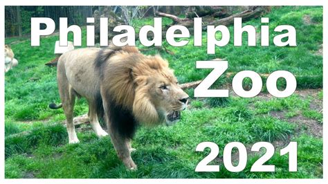 The Philadelphia Zoo In 2021 Youtube