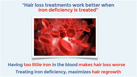 Iron is indispensable and aids in the synthesis of hemoglobin, an important protein responsible for carrying oxygen from the respiratory organs to the different tissues of our body, the scalp included. Can Low Iron Levels Cause Hair Loss? - Endhairloss.eu