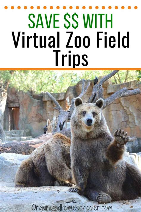 15 Fun Virtual Zoo Field Trip Options ~ The Organized Homeschooler
