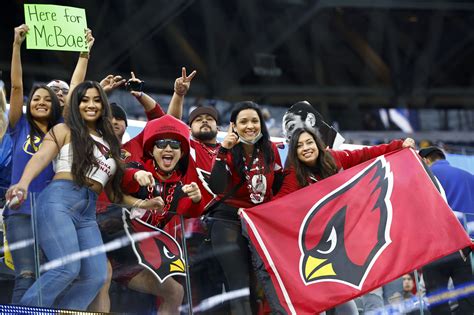 Are Optimistic Cardinals Fans Being Naive Revenge Of The Birds