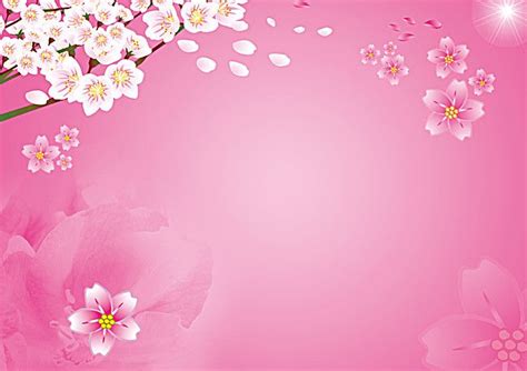 Linda Flor De Pêssego Rosa Fundo Claro Desenhos de flores Quadro de flores Fitas cor de rosa