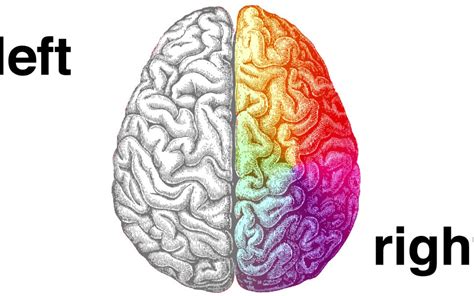 When discussing the left brain vs. Left brain vs. right brain: Fact and fiction | EpilepsyU