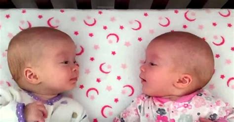 Identical Twin Girls See Each Other For First Time Have An Adorable