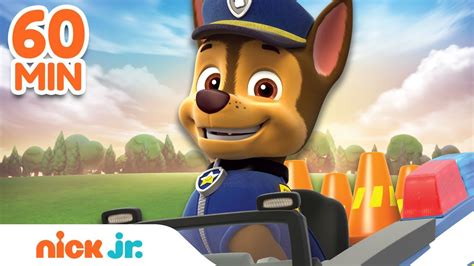 Paw Patrol Chase Is On The Case Rescues W Skye And Marshall 60 Minute